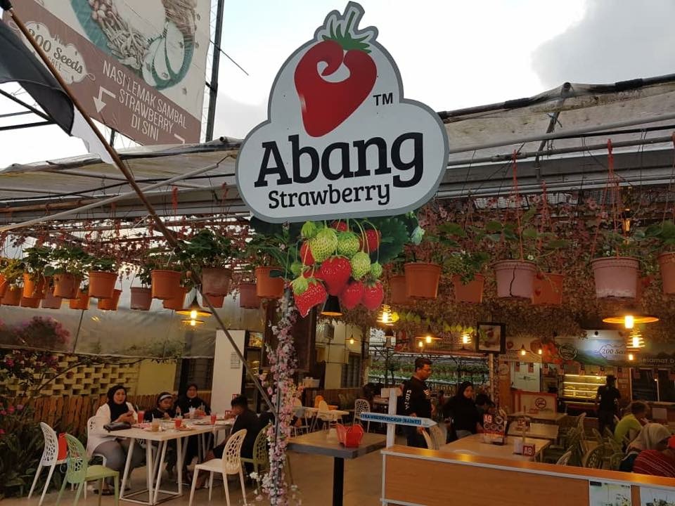 Abang Strawberry