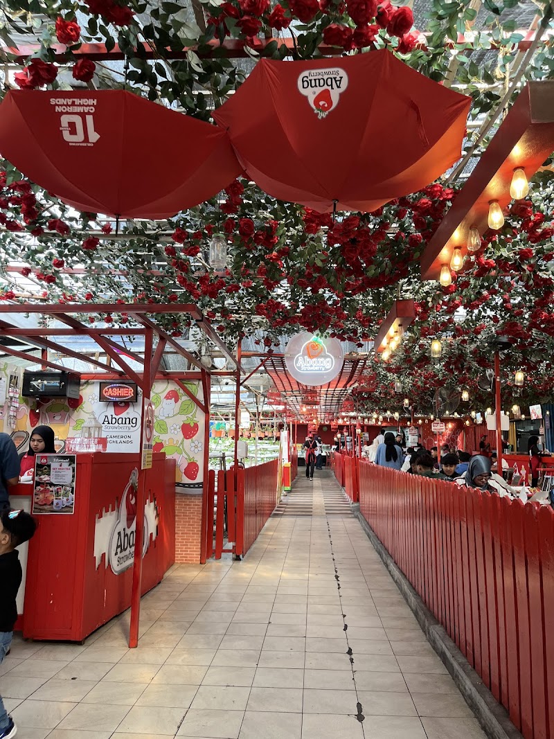 Abang Strawberry photo 7