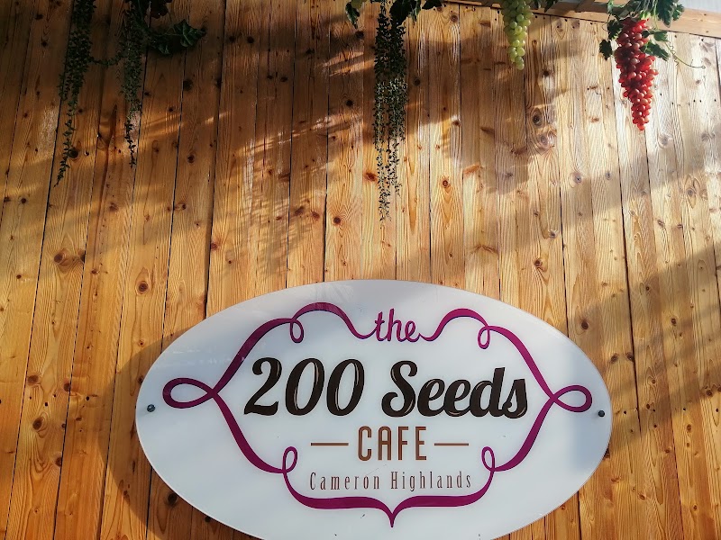 Abang Strawberry photo 9