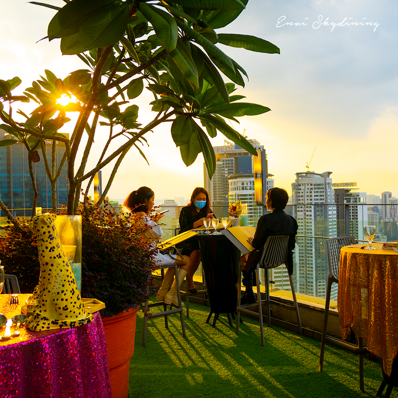 Envi Skydining photo 6